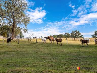 Farm For Sale - NSW - Mogendoura - 2537 - The Holy Grail of Horse Properties.  (Image 2)