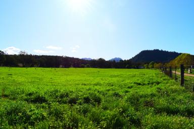 Farm For Sale - NSW - Coonabarabran - 2357 - Livestock / Farming  and Tourism Avondale or Biodiversity???  (Image 2)