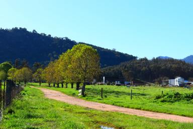 Farm For Sale - NSW - Coonabarabran - 2357 - Livestock / Farming  and Tourism Avondale or Biodiversity???  (Image 2)