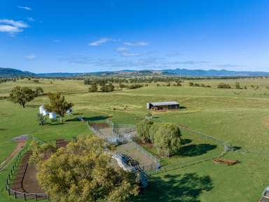 Farm For Sale - NSW - Narrabri - 2390 - Quality Grazing $18750/Cow area  (Image 2)