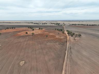 Farm For Sale - NSW - Baradine - 2396 - 'GLENALVON'  (Image 2)