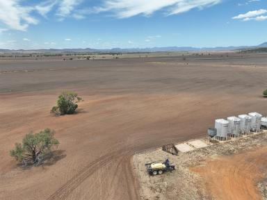 Farm For Sale - NSW - Baradine - 2396 - 'GLENALVON'  (Image 2)