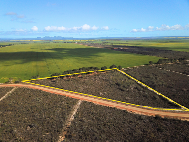 Farm For Sale - WA - Hopetoun - 6348 - Tranquil 10.92 Acre Lifestyle Block Near Jerdy River  (Image 2)