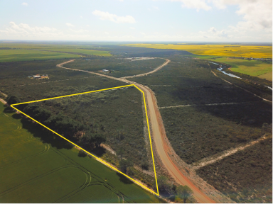 Farm For Sale - WA - Hopetoun - 6348 - Tranquil 10.92 Acre Lifestyle Block Near Jerdy River  (Image 2)