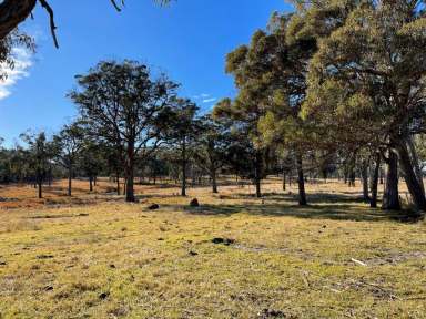 Farm For Sale - QLD - Eukey - 4380 - Stanthorpe Grazing country  (Image 2)