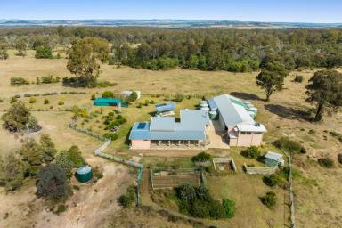 Farm Auction - QLD - Highland Plains - 4401 - Ultimate Adventure & Privacy Retreat: 160-Acre Estate with Endless Potential  (Image 2)