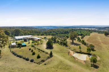 Farm Auction - QLD - Highland Plains - 4401 - Ultimate Adventure & Privacy Retreat: 160-Acre Estate with Endless Potential  (Image 2)