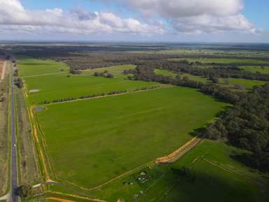 Farm For Sale - VIC - Durham Ox - 3576 - Prime Agricultural and Recreational Property on Rich River Flats  (Image 2)