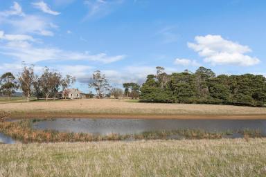 Farm For Sale - VIC - Birregurra - 3242 - BIRREGURRA COUNTRY HOMESTEAD ‘DARAGA’  (Image 2)