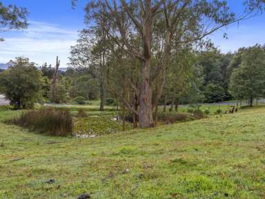 Farm For Sale - VIC - Toora - 3962 - HAMPTONS STYLE HOME ON 2.7 ACRES  (Image 2)