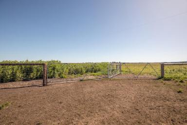 Farm For Sale - SA - Millicent - 5280 - "Poolna"
A Grade mixed farming at its best.  (Image 2)