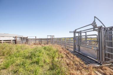 Farm For Sale - SA - Millicent - 5280 - "Poolna"
A Grade mixed farming at its best.  (Image 2)