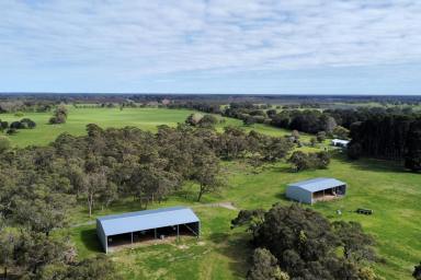 Farm For Sale - SA - Millicent - 5280 - BANYULA - Sheltered Grazing with Pivot Irrigation  (Image 2)