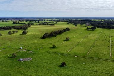 Farm For Sale - SA - Millicent - 5280 - BANYULA - Sheltered Grazing with Pivot Irrigation  (Image 2)