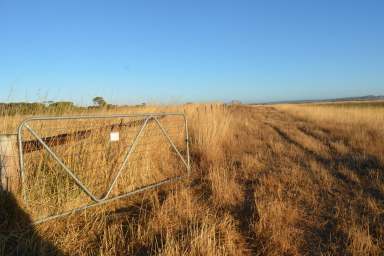 Farm For Sale - SA - Millicent - 5280 - Green all year round, black soil type, lifestyle / grazing opportunity  (Image 2)