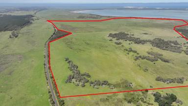 Farm For Sale - SA - Robe - 5276 - Reliable rainfall grazing property  (Image 2)