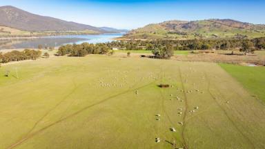 Farm Expressions of Interest - NSW - Wymah - 2640 - HIGH RAINFALL COUNTRY CLOSE TO LAKE HUME  (Image 2)