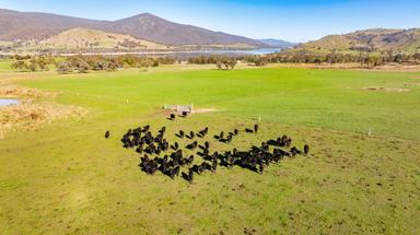 2445 Wymah Road, Wymah NSW 2640