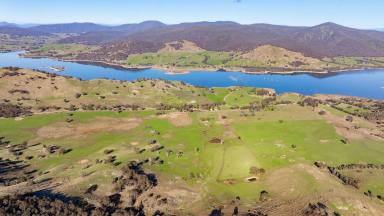 Farm Expressions of Interest - NSW - Wymah - 2640 - HIGH RAINFALL COUNTRY CLOSE TO LAKE HUME  (Image 2)