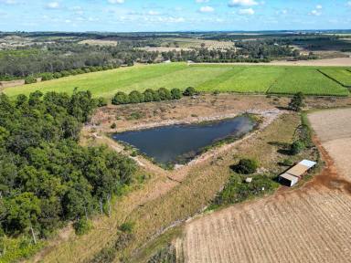 Farm For Sale - QLD - North Isis - 4660 - CANE FARM (RED & GREY SOIL)  (Image 2)