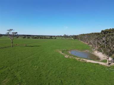 Farm Sold - VIC - Carpendeit - 3260 - QUALITY COBDEN DISTRICT PROPERTY  (Image 2)