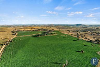 Farm For Sale - NSW - Boorowa - 2586 - PRIMARY PRODUCTION & LIFESTYLE OPPORTUNITY  (Image 2)