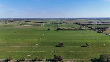 Farm Sold - VIC - Cohuna - 3568 - Own Prime Piece Of Rural Property Close to Town  (Image 2)