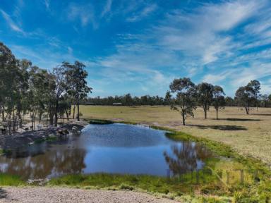 Farm For Sale - QLD - Booyal - 4671 - Stunning Rural Living At It's Finest  (Image 2)