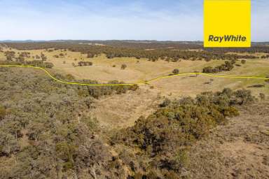 Farm Sold - NSW - Gunning - 2581 - Weekend Adventure.  (Image 2)