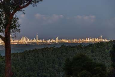 Farm For Sale - QLD - Tamborine Mountain - 4272 - Elevated Treetop Residence with Striking Gold Coast Views  (Image 2)