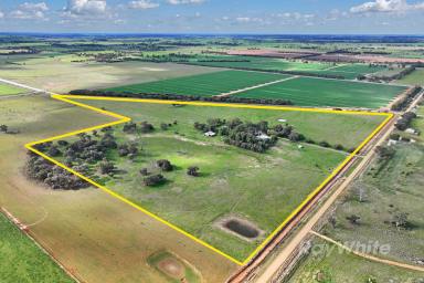 Farm For Sale - VIC - Lockington - 3563 - "YELLOW JACKS RISE" - Your Ideal Country Lifestyle Awaits - Welcome Home  (Image 2)