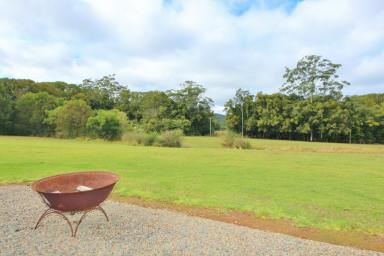 Farm Sold - NSW - Upsalls Creek - 2439 - Riverfront Acreage, priced to sell.  (Image 2)