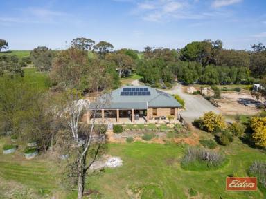 Farm For Sale - SA - Cockatoo Valley - 5351 - TERRIFIC ON 8 ACRES  (Image 2)