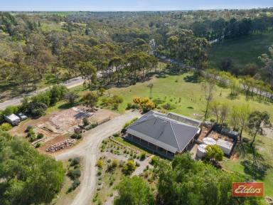 Farm For Sale - SA - Cockatoo Valley - 5351 - TERRIFIC ON 8 ACRES  (Image 2)