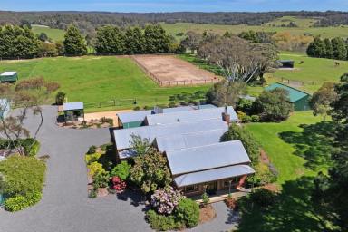 Farm For Sale - VIC - Durham Lead - 3352 - Country Paradise With Incredible Views And River Frontage!  (Image 2)