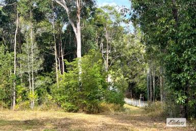 Farm For Sale - QLD - Chatsworth - 4570 - Acreage Designed Home Package - 16 week build time!  (Image 2)