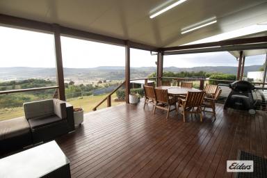 Farm For Sale - QLD - Summerholm - 4341 - Just Amazing - 43 Acres of Lifestyle  (Image 2)