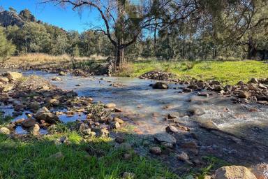 Farm For Sale - NSW - Rocky Creek - 2390 - High Rainfall Grazing in a Unique Location  (Image 2)