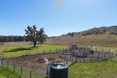 Farm For Sale - NSW - Rocky Creek - 2390 - High Rainfall Grazing in a Unique Location  (Image 2)