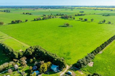 Farm For Sale - NSW - Corowa - 2646 - FIRST CLASS IRRIGATION PROPERTY-LIVESTOCK-CROPPING-FODDER  
745*Acres/301.5*Ha  (Image 2)