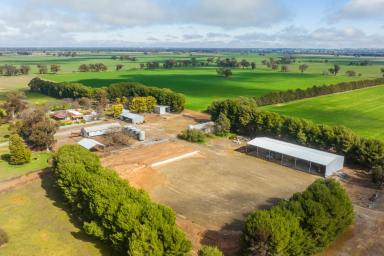 Farm For Sale - NSW - Corowa - 2646 - FIRST CLASS IRRIGATION PROPERTY-LIVESTOCK-CROPPING-FODDER  
745*Acres/301.5*Ha  (Image 2)