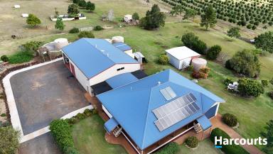 Farm For Sale - QLD - Doolbi - 4660 - 5.9AC - 2 HOUSES - MASSIVE SHED AND PLENTY MORE  (Image 2)