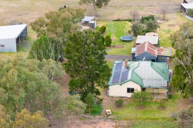 Farm For Sale - NSW - Mendooran - 2842 - "SANDY CREEK" - IDYLLIC COUNTRY LIFESTYLE, ONLY MINUTES FROM TOWN  (Image 2)