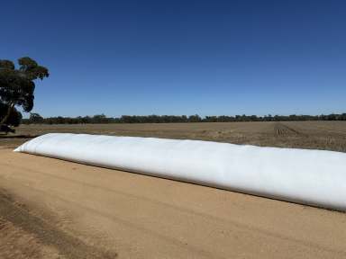 Farm For Sale - NSW - Yerong Creek - 2642 - Yerong Creek Cropping & Grazing - Early Access Available.  (Image 2)