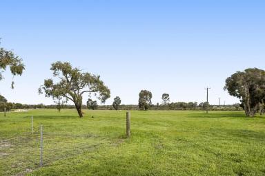 Farm For Sale - WA - Wanerie - 6503 - Immaculate Hobby Farm  (Image 2)