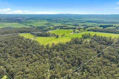 Farm For Sale - VIC - Lang Lang East - 3984 - Views That Dreams Are Made Of.  (Image 2)