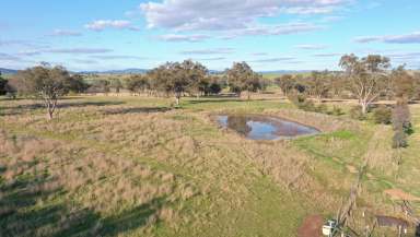 Farm For Sale - NSW - Tamworth - 2340 - LIFESTYLE & LOCATION WITH SPACE  (Image 2)