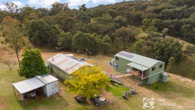 Farm For Sale - NSW - Mudgee - 2850 - WEEKENDER PARADISE  (Image 2)