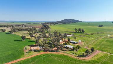 Farm Auction - NSW - Gunnedah - 2380 - PRODUCTIVE LAND IN A FERTILE AGRICULTURAL REGION  (Image 2)