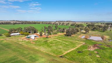 Farm Auction - NSW - Gunnedah - 2380 - PRODUCTIVE LAND IN A FERTILE AGRICULTURAL REGION  (Image 2)